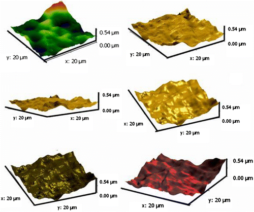 Figure 4 The three-dimensional AFM topography images of N3.
