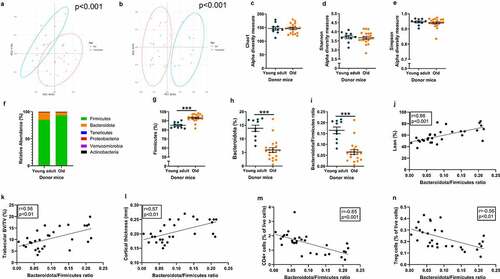 Figure 2. Old donor mice have altered GM composition compared with young adult donor mice.