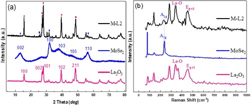 Figure 2. (a) XRD patterns; (b) Raman spectra of pure MoSe2, La2O3, and hybrid M-L2.