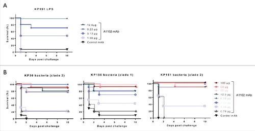 Figure 3. Protection in murine endotoxemia models. Protective efficacy of mAb A1102 was investigated in the GalN-sensitized murine model of endotoxemia. Groups of 5 mice were passively immunized prophylactically (i.p.) with serial dilutions of A1102 (100 µg to 0.78 µg/mouse doses) or an isotype-matched control antibody (100 µg/mouse). Mice were rendered susceptible to endotoxin by receiving an i.p. injection of GalN 24 h later and at the same time were challenged i.v. with either purified LPS, extracted from a representative ST258 strain, Kp151 (16 ng/mouse) (panel A), or with a minimal lethal dose (1.5–5 × 104 CFU/mouse) of ST258 strains (panel B). Survival was monitored daily for up to 10 d. Graphs represent the combined results from 2 independent experiments for each challenge, with a total group size of 10, except for mice receiving the 0.78 µg dose in live challenges (panel B), which was only included in one of the repeats (n = 5).