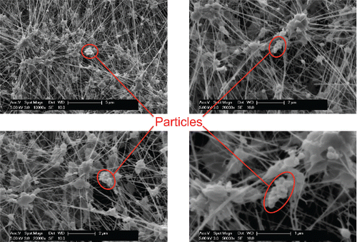 Figure 3. Scanning electron microscope (SEM) images of the particle filter from Experiment 1 at different resolutions. The fibrous and smoother agglomerated material is the Teflon filter.