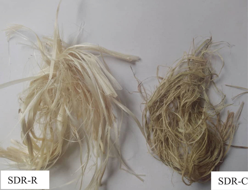 Figure 4. Sida rhombifolia fibers extracted by cold water retting (SDR-R) and boiling water (SDR-C).