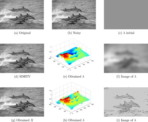Figure 13. Comparison between the obtained clean image X and the SDRTV method with the respective computation of the spatially dependent parameter λ of the Dolphins image: (a) Original, (b) Noisy, (c) λ initial, (d) SDRTV, (e) Obtained λ, (f) Image of λ, (g) Obtained X, (h) Obtained λ and (i) Image of λ.