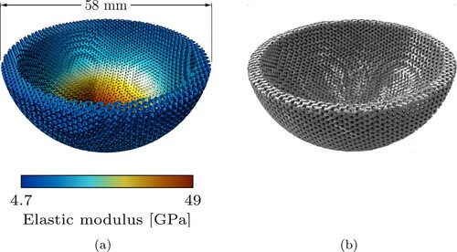 Figure 8. The shell of an acetabular implant was assigned a skeletal-gyroid infill of varying volume fraction to match a desired stiffness distribution: (a) ASLI generated 3D-model overlaid with the material stiffness distribution (b) additively manufactured acetabular shell.