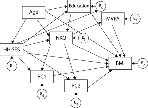 Figure 1: Conceptual framework for the association between household SES, age, education, nutritional knowledge (NKQ), Western dietary pattern (PC1), Mixed dietary pattern (PC2) and MVPA with BMI among young women.