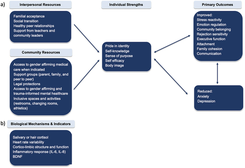 Figure 2. A strengths-based future directions model for understanding transgender youth mental health. A) potential social-affective developmental model for improving the mental health and well-being of transgender youth (key pathways shown); B) potential biological mechanisms and indicators that may contribute to these processes. Most of these relationships have yet to be explored in transgender youth. Furthermore, resources and strengths will vary in their relative influence on outcomes in different developmental windows. IL-6, IL-8 = interleukin-6, interleukin-8; BDNF = brain-derived neurotrophic factor.