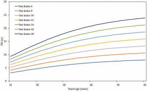 Figure 2. Site index classification curves for Pinus densiflora stand.