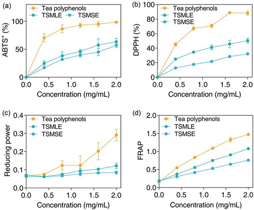 Figure 3. In vitro antioxidant effects of tumorous stem mustard leaf and stem extracts. (a) ABTS+-scavenging assay; (b) DPPH·-scavenging assay; (c) total reducing power; (d) ferric reducing antioxidant power (FRAP). Tea polyphenols extract (pure >97%) was used as a positive control. Results were expressed as the mean ± SD (n = 3).Figura 3. Efectos antioxidantes in vitro de extractos de hojas y tallos de mostaza de tallo tumoral. (A) ensayo de eliminación de ABTS +; (B) ensayo de eliminación de DPPH ·; (C) poder reductor total; (D) Poder de reducción antioxidante del [ion] férrico (FRAP). Se utilizó el extracto de polifenoles de té (puro> 97%) como control positivo. Los resultados se expresan como la media ± desviación estándar (n = 3).