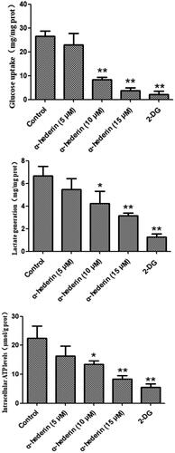 Figure 2. α-Hederin dramatically inhibits aerobic glycolysis in A549 cancer cells. Glucose uptake, lactate generation, and intracellular ATP levels in A549 cells in response to α-hederin treatment for 48 h. The concentration of 2-DG was 8 mM. *p < 0.05, **p < 0.01 as compared to the control group. Mean ± S.E.M. n = 3.