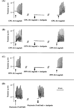 Figure 2 Representative tracings showing the effect of cysteine proteinase inhibitor, antipain, on the oxytocic activity of (A), crude papaya latex; (B), chymopapain; (C), papain, and (D), oxytocin on isolated non-gravid rat uterus. Consistent results were observed in at least six experiments.