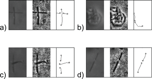 Figure 6. Examples of false identification in three steps of IAM: Original image, application of ACC, fiber identification; (a) crossed fibers, (b) dust particle, (c) crossed fibers, (d) single fiber; particle image size is 24 × 40 μm.