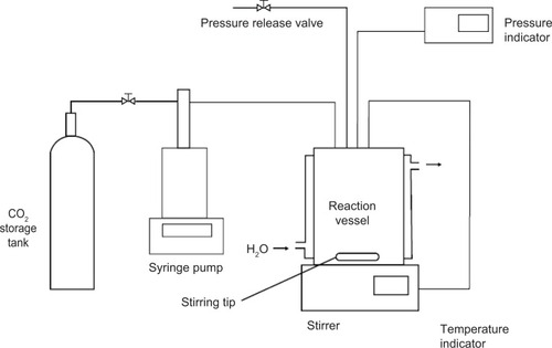 Figure 1 Schematic representation of the experimental apparatus for proliposome preparation by the SAS process.Note: Copyright ©2013. Dove Medical Press. Reproduced from Karn PR, Cho W, Park HJ, et al. Characterization and stability studies of a novel liposomal cyclosporin A prepared using the supercritical fluid method: comparison with the modified conventional Baangham method. International Journal of Nanomedicine. 2013;8:365–377.Citation2Abbreviation: SAS, supercritical antisolvent.