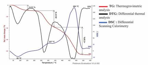 Figure 4. Combined TG and DSC curves of Raffia fruit kernel.