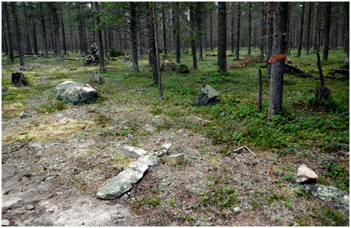 Figure 9. Stones set in the form of a cross at the place where a young boy was killed by UXO in 1959; site has been marked by our informant (M1) with a red ribbon to ease locating it in the forest (Photograph: Oula Seitsonen).