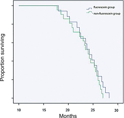 Figure 2 Kaplan–Meier survival curve: correspondence of fluorescein sodium group (17 patients) and with nonfluorescein sodium (21 patients) group.