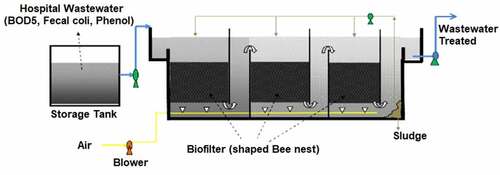 Figure 8. Schematic picture of aerated fixed film biofilter reactor in the treatment of hospital wastewater [Citation162].