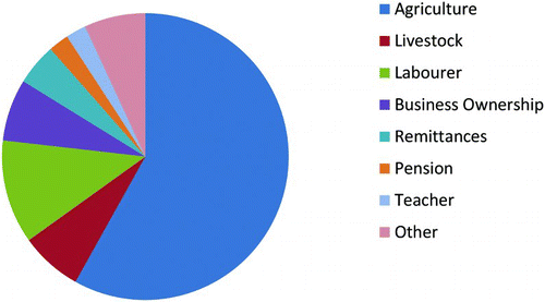 Figure 2. Main activities of survey households in Vudee. Source: Household survey, 2012.