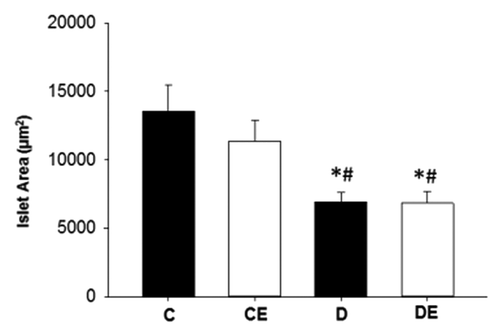 Figure 4. Pancreatic islet area. Pancreatic islets from both sedentary and exercised rats with T1DM (D and DE) were significantly smaller than sedentary and exercised non-T1DM (C and CE) rats (P < 0.05). (*) indicates a significant difference from C. (#) indicates a significant difference from CE (P < 0.05). Data are expressed as means ± SE for each animal group.