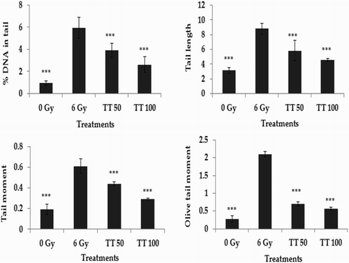 Figure 3 Protection against radiation-induced DNA damage in spleen cells. TT: Ganoderma triterpenes (μg/ml). Data represented as mean ± SD, from three individual experiments, ***P < 0.001 (Bonferroni test) with respect to damage group.