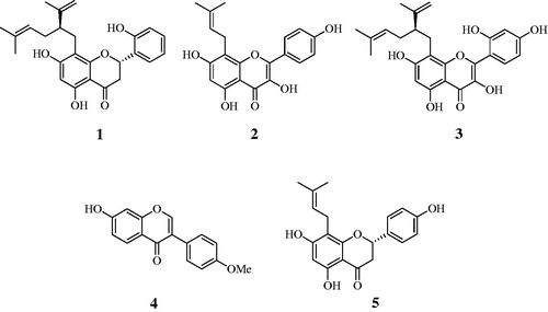 Figure 1. Structures of isolated compounds 1–5 from S. flavescens.