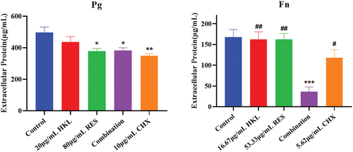 Figure 9. Effect of drugs on biofilm extracellular proteins of Pg and Fn (n=3).