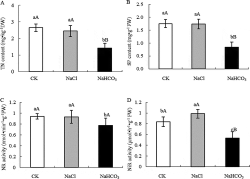 Figure 1. TN content (a), SP content (b), NR activity (c) and NiR activity (d) of mulberry leaves under NaCl and NaHCO3 stress. Note: The data are from three replicated experiments (n = 3), and represent means ± SE. Significant differences were expressed by different small letters (P < .05), and very significant differences were expressed by different capital letters (P < .01).