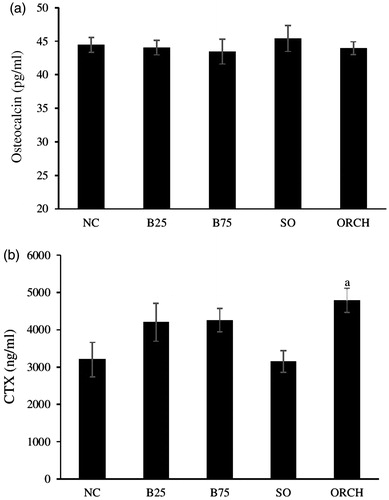 Figure 1. Serum bone turnover markers in rats after treatment, i.e. serum osteocalcin (a) and serum cross-linked C-telopeptide of type I collagen (CTX) (b). The data are shown as mean ± standard error of the mean. aSignificant difference versus sham-operated group. NC: normal group; B25: buserelin 25 µg/kg group; B75: buserelin 75 µg/kg group; SO: sham group; ORCH: orchidectomy group.