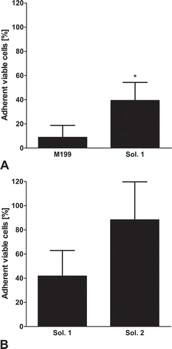 FIGURE 5. Cell proliferation after thawing.Sub-confluent porcine aortic endothelial cell monolayers (24 h after sub-cultivation) were cryopreserved at a cooling rate of −0.1°C/min in cell culture medium (M 199; A), solution 1 (chloride-rich; A, B) or solution 2 (chloride-poor, balanced Na+/K+; B), all supplemented with 10% DMSO. Control cultures were kept for another 24 h at 37°C before quantification of adherent viable cells (intracellular LDH). After rapid thawing and 24 h re-culture in cell culture medium (total culture time: 48 h), cell proliferation was compared to control cultures. A: n = 10, B: n = 4; *significantly different from M199.