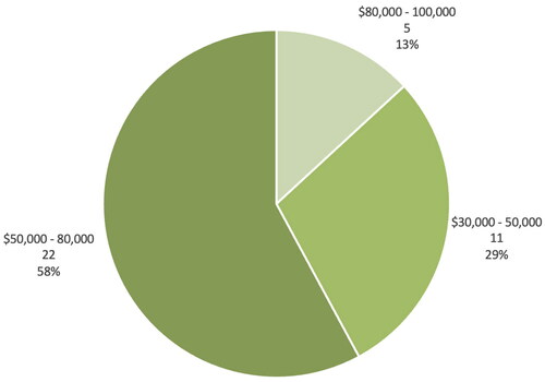 Figure 2. Participants’ individual income p.a., as numbers and percentages.
