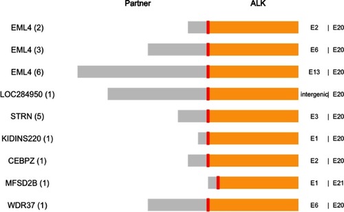 Figure 1 Structure and breakpoints of the 21 ALK fusions in EGFR-mutated nonsmall cell lung cancer patients identified by next-generation sequencing. E2:E20 indicates that exon 2 of EML4 is fused to exon 20 of ALK. The number in the brackets indicates the number of patients with that respective fusion variant.Abbreviations: ALK, anaplastic lymphoma kinase; EML4, echinoderm microtubule-associated protein-like 4.