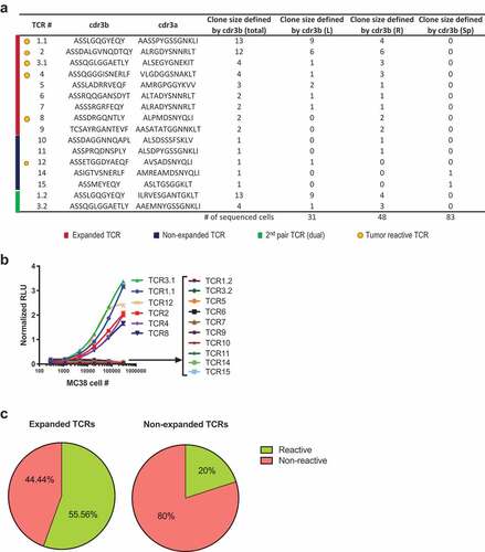 Figure 2. Majority of tumor-reactive TCRs are clonally expanded.