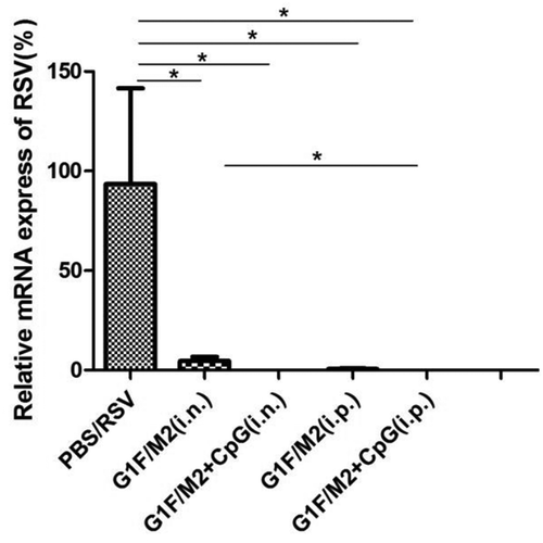 Figure 7. The expression of RSV-N in lungs after RSV challenge. Mice were challenged i.n. with RSV-A 3 weeks after the final immunization. Lungs were removed after 5 d post-challenge. The relative expression of RSV-N gene in lung was tested by real-time qRT-PCR. Results are presented as mean ± SD of five mice per group. *P < 0.05 represents significant difference.