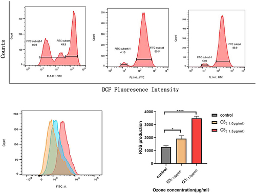 Figure 7 Effect of ozone on ROS levels in HCC cells. Intracellular ROS levels were determined by staining cells with DCFH-DA (10 μM) and assessed by flow cytometry. The charts display the relative fluorescent intensities of different cell populations. *P<0.05, **** P<0.0001, n=3.