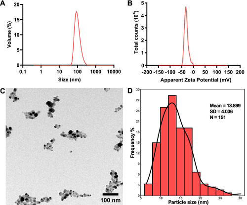 Figure 4 Characterization of BF75-AgNPs. (A) Particle size distribution; (B) Apparent Zeta potential and (C) TEM image of the BF75-AgNPs; (D) the average particle size of BF75-AgNPs based on the TEM image.