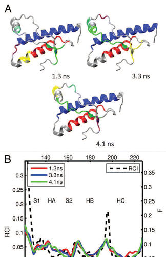 Figure 5 (A) Dynamical domains for cat prion protein (cPrP) identified from a MD trajectory at times indicated by the subscripts. The meaning of colors is as in Figure 3. (B) flexibility profiles at times indicated in the legend box. The dashed curve shows the experimental RCI profile from 2(c). Further results for dynamical domains and flexibility profiles in cat prion protein are given in Figures S5 and S6, respectively.