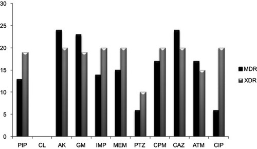 Figure 2 Rate (%) of antimicrobial resistance of MDR and XDR Pseudomonas aeruginosa isolates to antimicrobial agents used in present study.Abbreviations: AK, amikacin; GM, gentamicin; IMP, imipenem; MEM, meropenem; CAZ, ceftazidime; CIP, ciprofloxacin; CPM, cefepime; PTZ, piperacillin-tazobactam; CL, colistin; PIP, piperacillin; ATM, aztreonam; MDR, multidrug-resistant; XDR, extensively drug resistant.