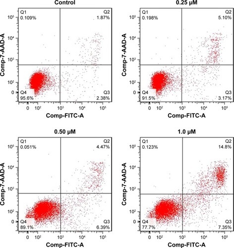 Figure 4 Effect of BA-78 on the induction of apoptosis in B16F10 cells.