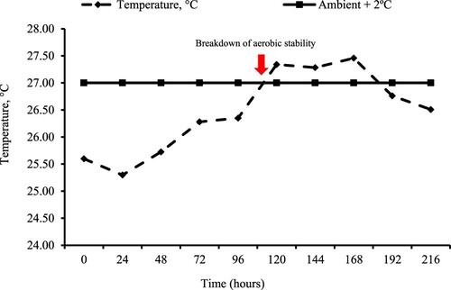 Figure 2. Temperature profile of Volumax sorghum, biomass sorghum (BRS 716), and BRS Capiaçu grass silages, with or without cactus pear, throughout the 216-hour aerobic stability test.
