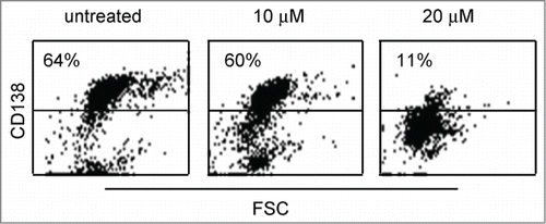 Figure 2. Primary myeloma cells were killed by curcumin. Primary cells (CD 138+) obtained from sample 4 were treated 24 h with the indicated doses of curcumin. Cells were then stained with an anti-CD138-PE mAb. The loss of CD138 staining was representative of cell death. Cell death percentage was calculated relative to untreated cells.