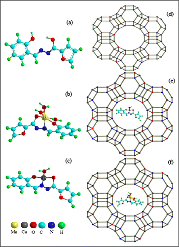 Figure 3. Representative structures for H2SFCH ligand (a), neat distorted octahedral [Mn(SFCH)·3H2O] (b), tetrahedrally distorted [Cu(SFCH)·H2O] (c), zeolite-Y nanocavity (d), encapsulated [Mn(SFCH)·3H2O]-Y (e) and [Cu(SFCH)·H2O]-Y (f).