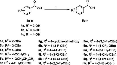 Scheme 2. Synthetic route of compounds 5.a aReaction conditions: (i) alkyl or benzyl bromides, KOH, ethanol: water = 2:1 (v/v), reflux, 5–30 h.