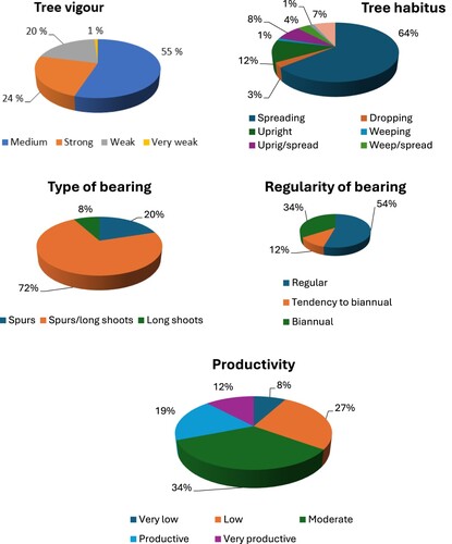 Figure 2. The distribution of tree vigour (A), tree habitus (B), type of bearing (C), regularity of bearing (D) and productivity (E) classes in analysed heritage apple cultivars.