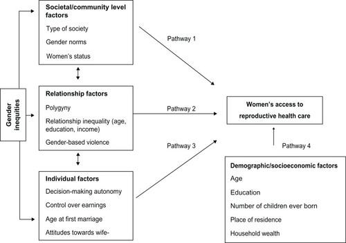 Figure 1 Conceptual framework.