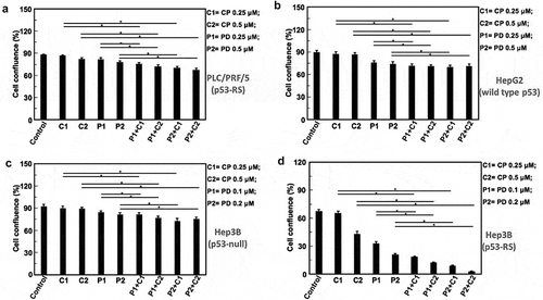 Figure 4. Combination of PD with CP more significantly inhibits proliferation and survival of HCC cells that harbor p53-RS.Cell growth of HCC cells treated with PD or CP alone or in combination was monitored as indicated in Figure 3 legends with the IncuCyte Live Cell Imaging system. Mean±SD confluence at the fifth day in the analysis of cell confluence (n = 5, * P < .05). (A) PLC/PRF/5 cells (p53-RS); (B) HepG2 cells (wild-type p53); (C) Hep3B cells (p53 null); (D) Hep3B cells (p53-RS).