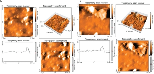 Figure 4 Topography of polyurethane modified by argon plasma for 30 seconds (A) and 60 seconds (B).