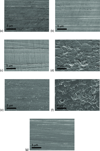Fig. 8 SEM images from smear-tested inner rings for (a) ground, nonsmeared area; (b) ground, inside a smear mark; (c) ES20, nonsmeared area; (d) ES20, inside a smear mark; (e) black oxide, nonsmeared area; (f) black oxide, inside a smear mark; and (g) WC/a-C:H general area (no smear marks).