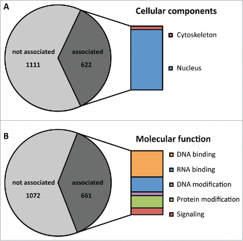 FIGURE 1. Prion-like proteins cluster into specific gene ontology groups. Within the group of prion-like domains, specific gene ontology (GO) groups are enriched. (A) Proteins associated with the cytoskeleton and the nucleus are specifically enriched among prion-like proteins. 622 proteins of the identified 1733 correspond to these groups. (B) Prion-like proteins are enriched for GO terms associated with DNA binding, RNA binding, DNA modification, protein modification and signaling. 661 proteins of the identified 1733 correspond to these groups.