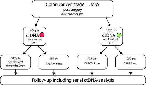 Figure 3. Simplified description of design of the proposed CIRCULATE 3-EUROPE adjuvant trial in early stage colon cancer (n = 2046).