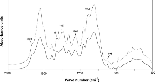 Figure 4. FTIR spectra of sugarcane bagasse without A. flavus KUB2 inoculation (dashed line) and after A. flavus KUB2 cultivation (solid line)