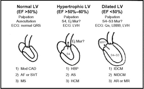 Figure 1 Diagnostic construction of left heart diseases.